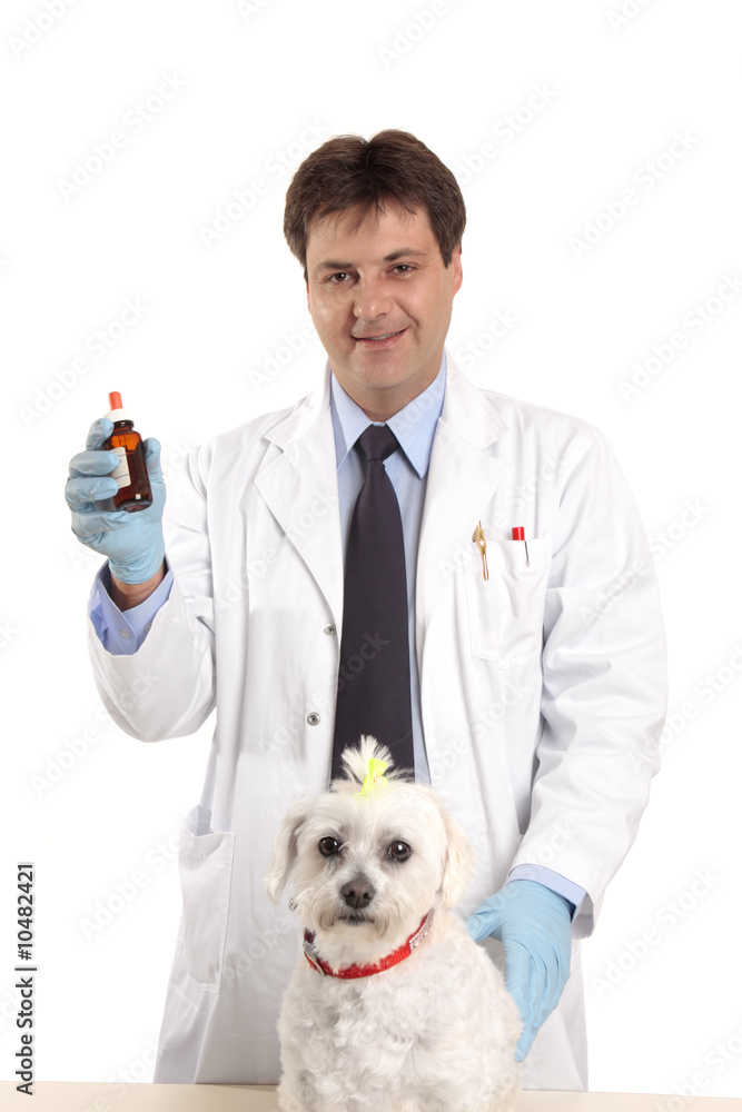 Obraz premium Male vet showing some medicine or an ointment.