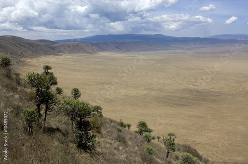 view on the Ngorongoro Crater, tanzania