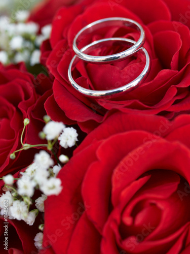 Closeup of wedding rings on red roses