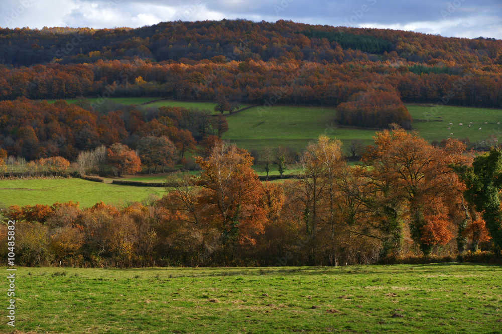 Fototapeta premium campagne d'automne