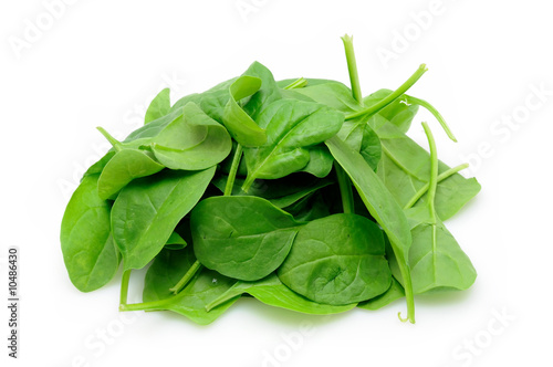 Baby spinach leaves in isolated white background
