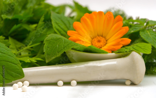 the Image of medicinal grasses and flowers