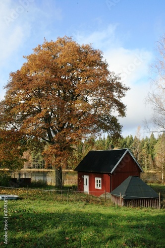 Schweden-Hütte