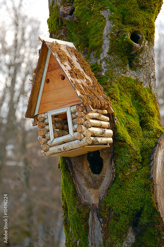 starling-house photo