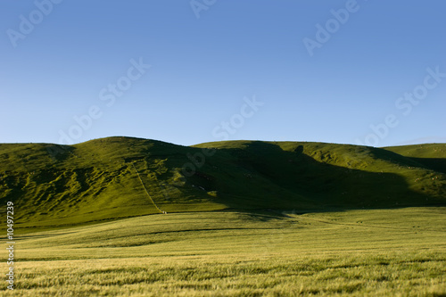 Farmlands and rolling hills in rural Hawke s Bay  New Zealand