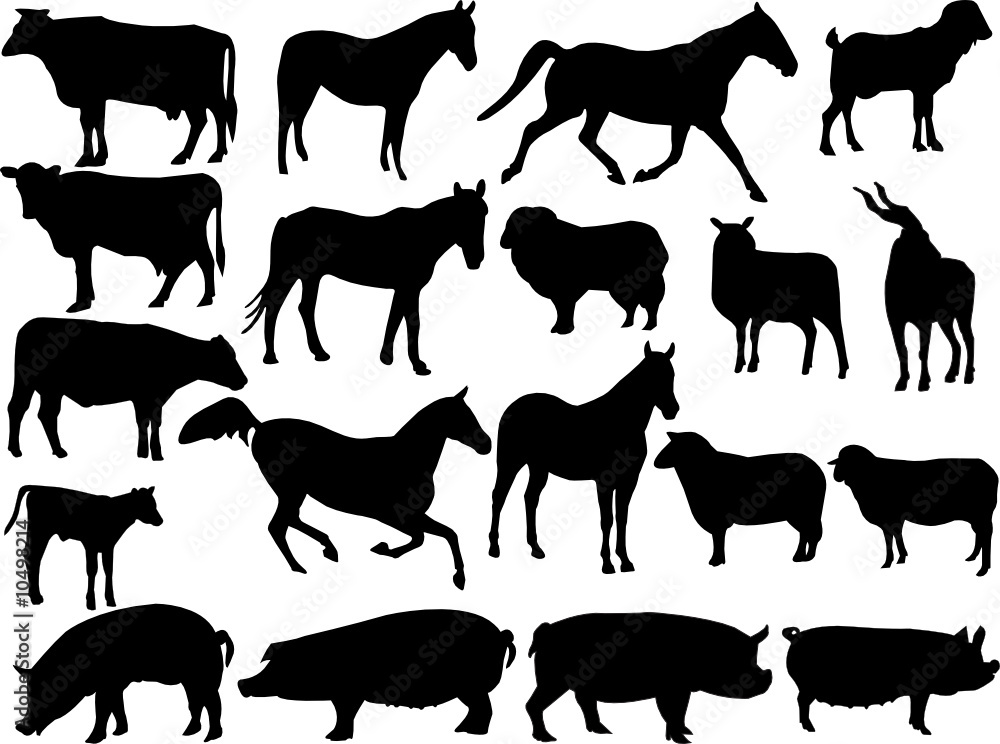 farm animal silhouette collection - vector