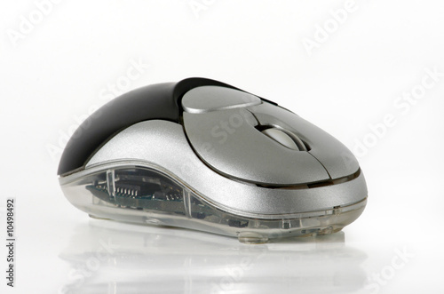 Mouse