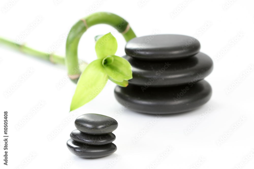 black pebbles with green bamboo isolated on white black pebbles with green bamboo isolated on white