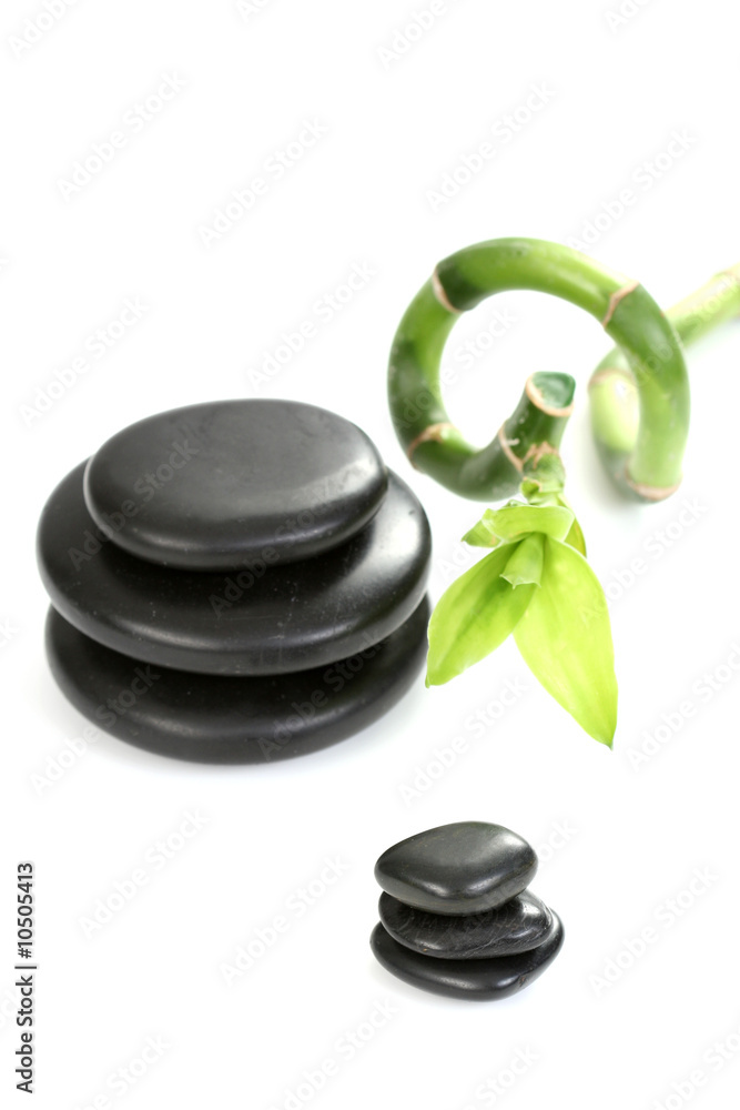 black pebbles with green bamboo isolated on white black pebbles with green bamboo isolated on white