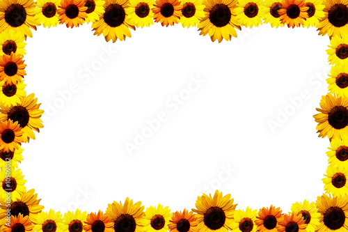 sunflowers frame