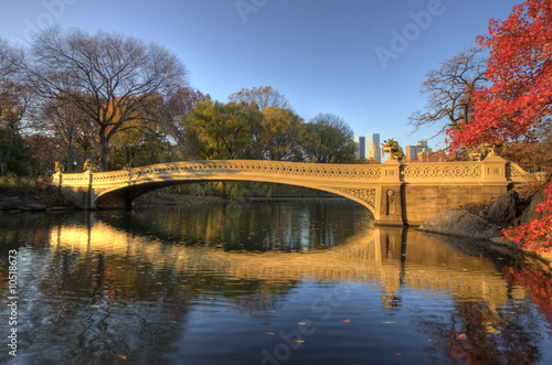 Bow bridge in Autumn
