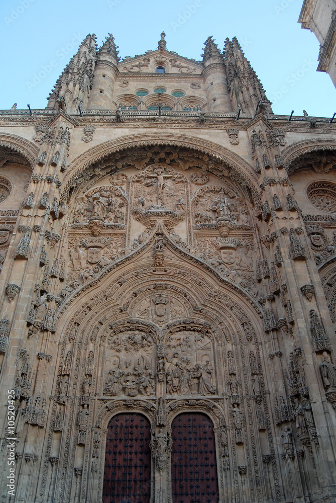 Catedral de salamanca