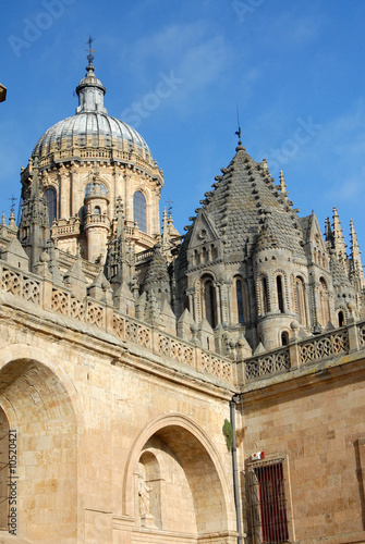 Detalle de la catedral se Salamanca