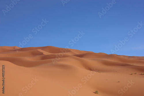 dunes ocre et ciel bleu au maroc