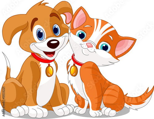dog & cat's friendship