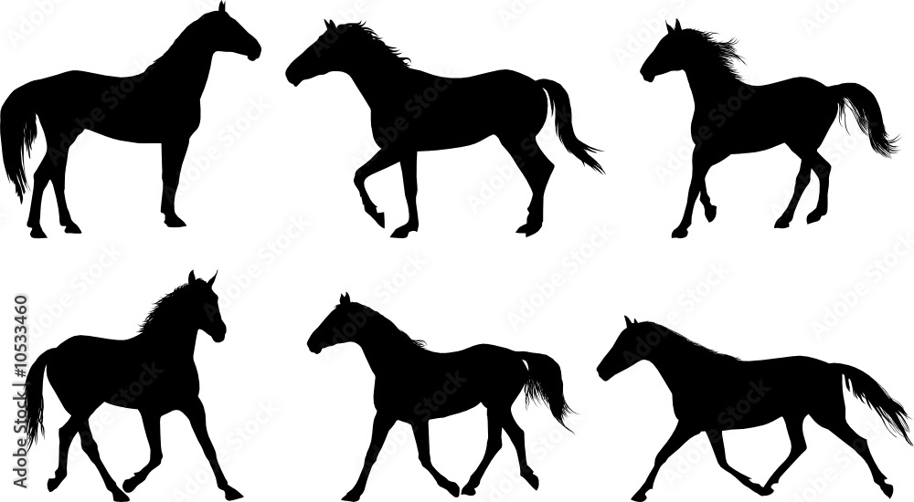 vector set of horse silhouette Stock Vector | Adobe Stock