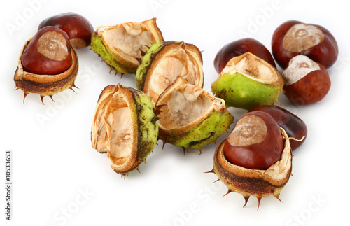 group of chestnuts against white background,