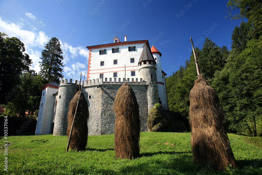 Chateau Sneznik