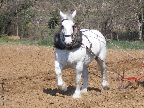Cheval