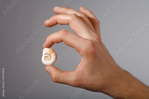 shell in man's hand photo