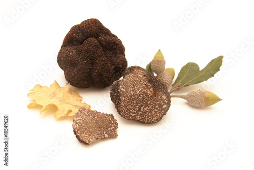 Truffes et feuilles photo