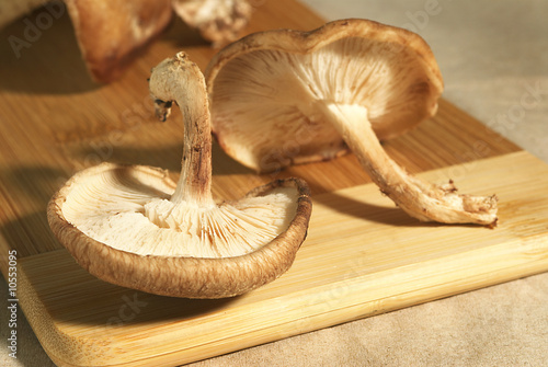 shitake mushroom over a cutting board