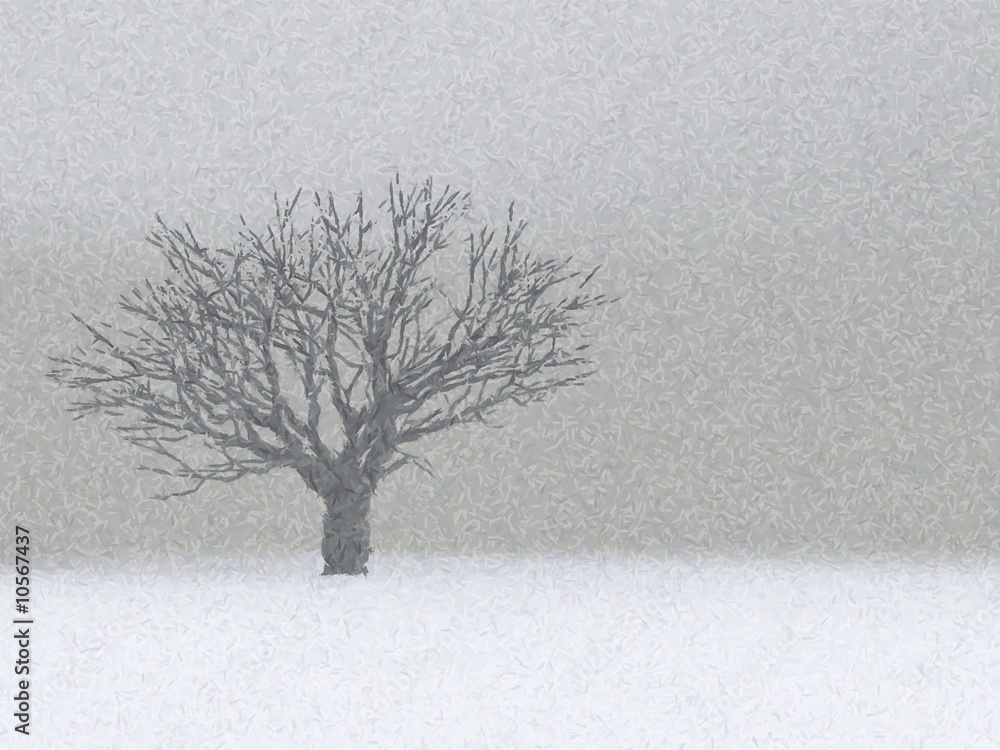 Fototapeta premium lonely winter tree