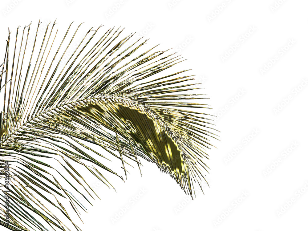 Obraz premium palme métallique