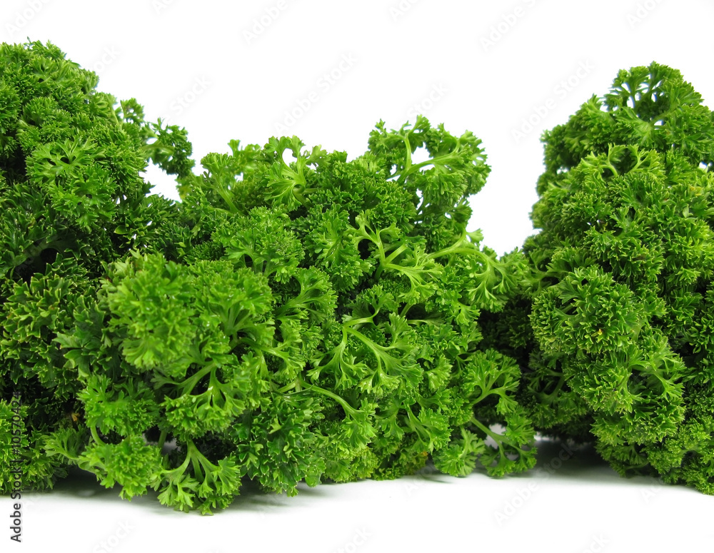 Parsley French leaves Parsley French leaves