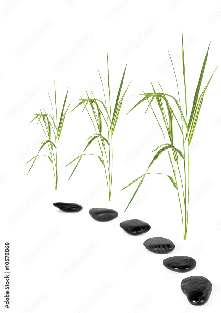 Naklejka premium Zen Pathway