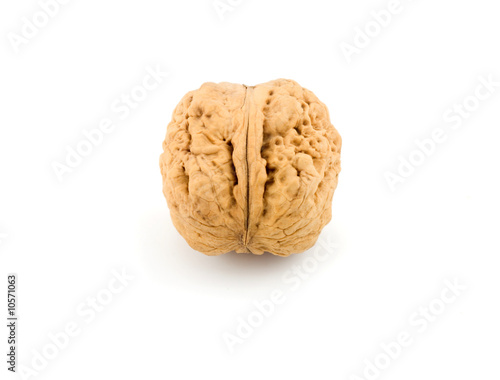 Nut,walnut