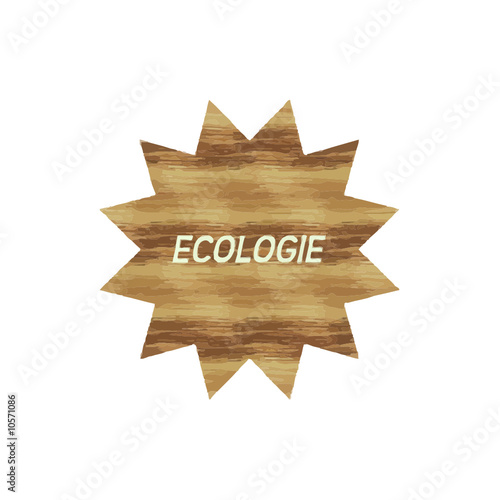 BOUTON ECOLOGIE TEXTURE BOIS