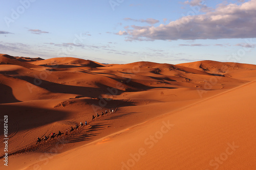 Caravane de dromadaires dans l'Erg Chebbi (Maroc)