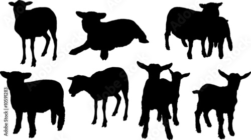 silhouettes moutons