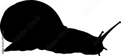 silhouette escargot