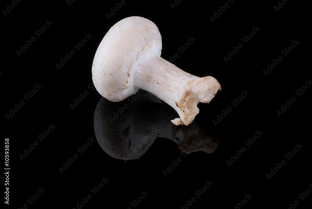 champignon champignon