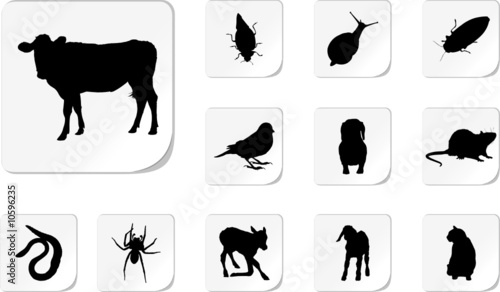 Animals. Set of 12 round vector buttons for web
