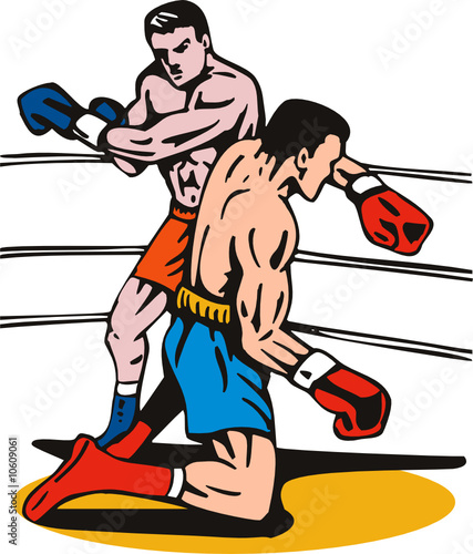 Boxer punching