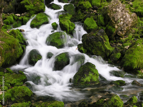 Foto mountain river-1