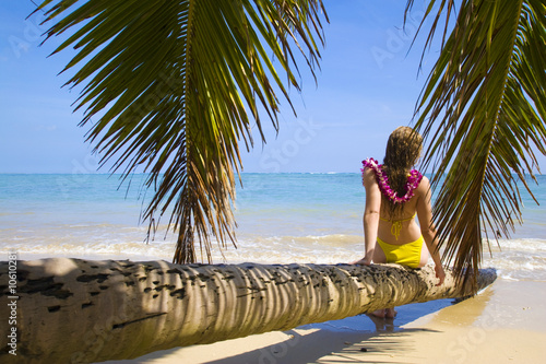 woman sits on a palm tree in a tropical lagoon in the pacific