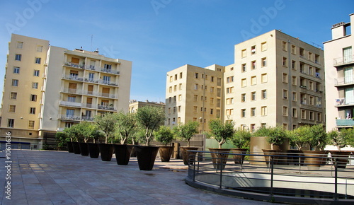 Immeubles et oliviers, place de Marseille, France.