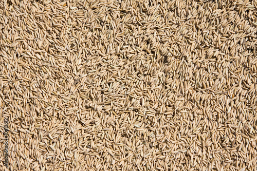 Rice Texture