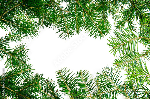 Pine branches frame