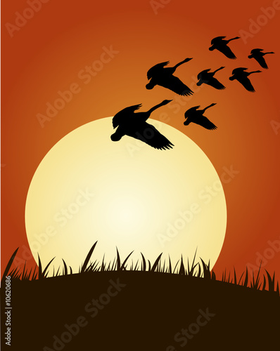Abstract vector illustratio...