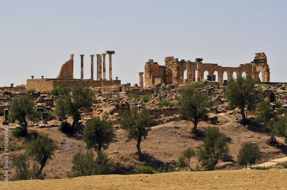 Roman Ruins of Volubillis