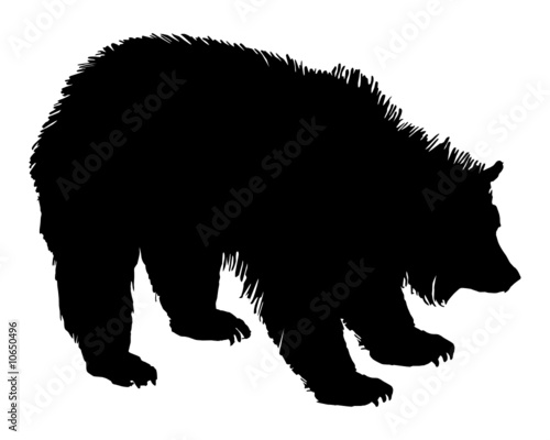 Grizzly