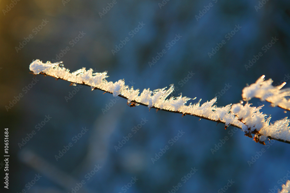 Naklejka premium Eisast1