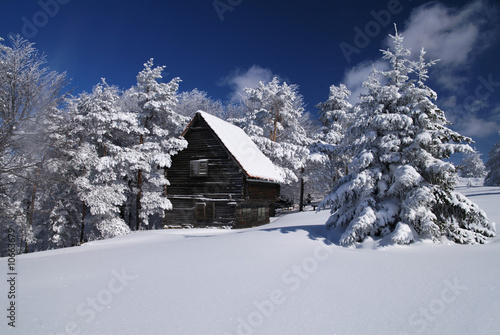 Mountain house in snow © Adam Radosavljevic