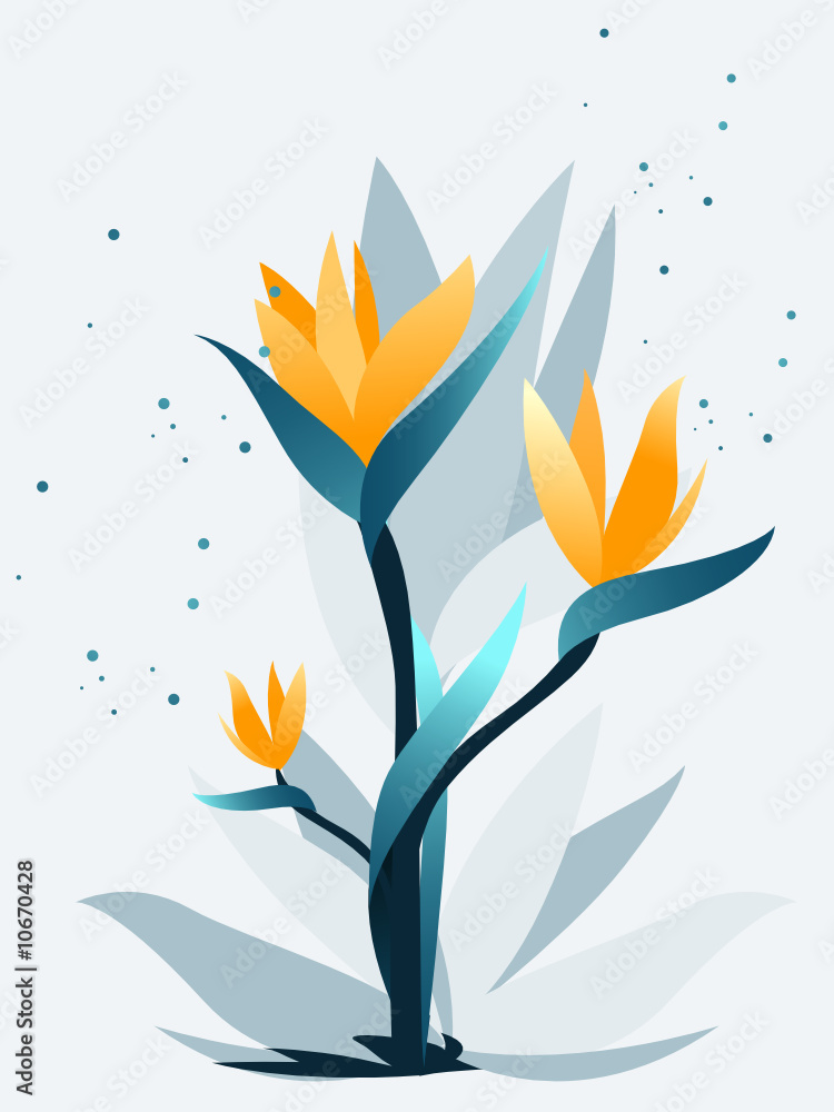 Birds of Paradise Birds of Paradise