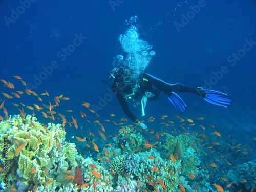 Obraz na płótnie Diver on the reef w salonie